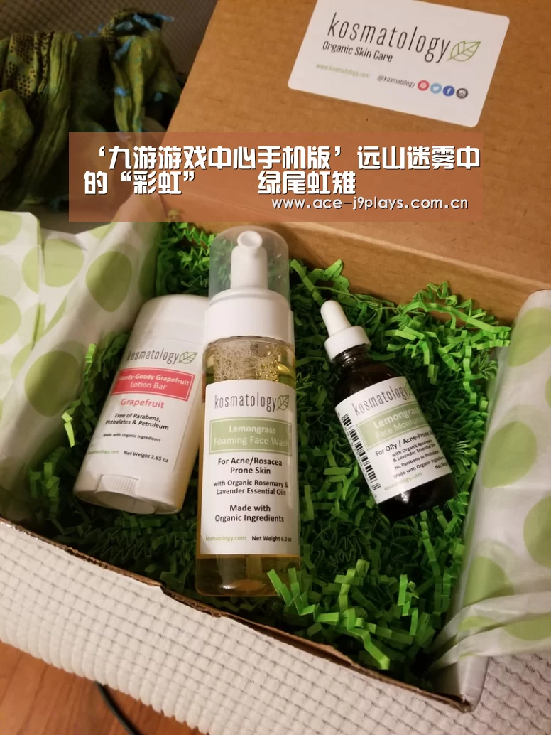九游游戏中心手机版