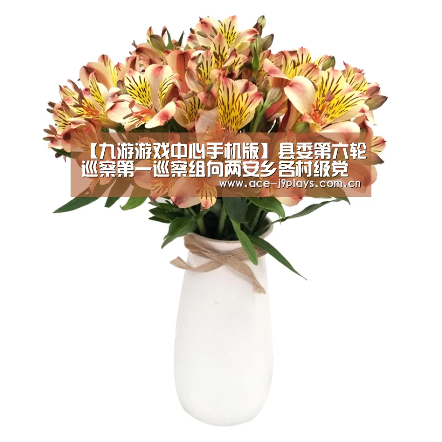 【九游游戏中心手机版】县委第六轮巡察第一巡察组向两安乡各村级党组织反馈巡察情况(图3) 九游游戏平台官网