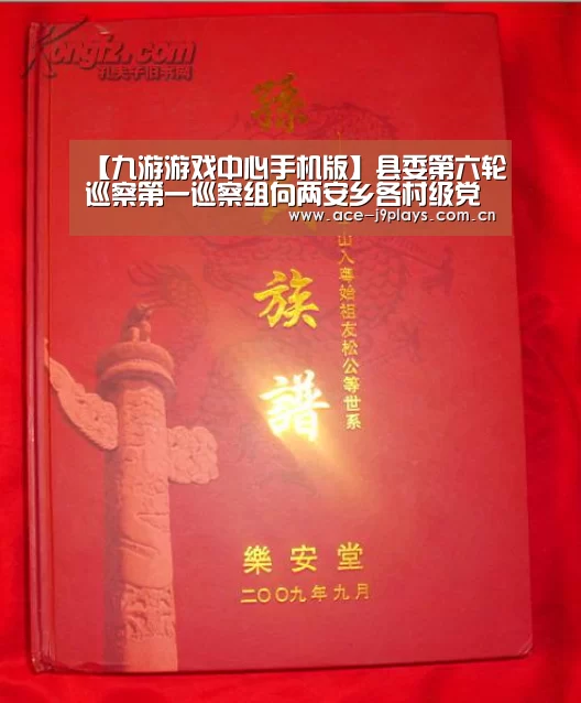 【九游游戏中心手机版】县委第六轮巡察第一巡察组向两安乡各村级党组织反馈巡察情况(图2) 九游游戏中心手机版
